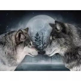 Алмазная мозаика с полным заполнением на холсте