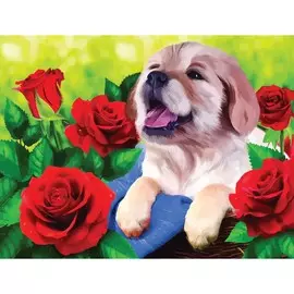 Алмазная мозаика с полным заполнением на холсте