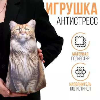 Антистресс игрушка, кот