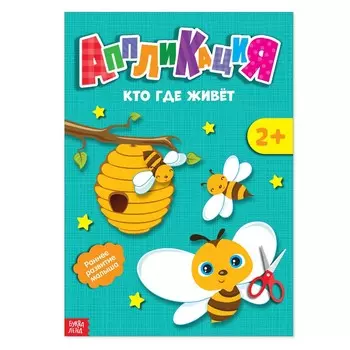 Аппликации