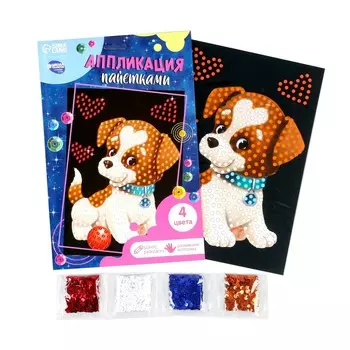 Аппликация пайетками