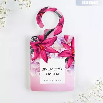 Ароматизатор для дома (саше)
