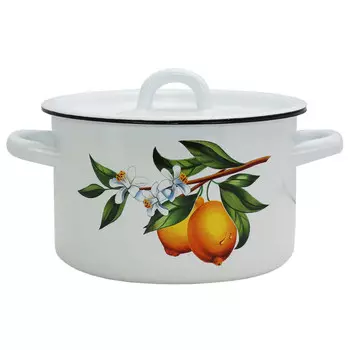 Астрюля эмал цил 2,0л Лимоны