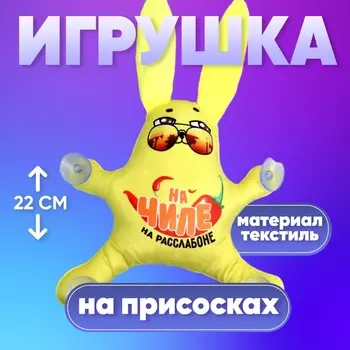 Игрушка в автомобиль