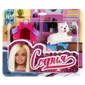 Аксессуары для кукол КАРАПУЗ PET-02-S-BB