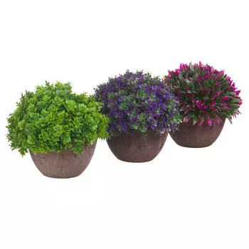 Азалия в кашпо