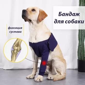 Бандаж на лапу послеоперационный, хлопок+спандекс, размер s (ог 40-52, длина 17 см), синий