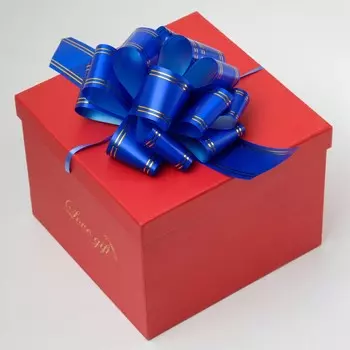 Бант-шар №5