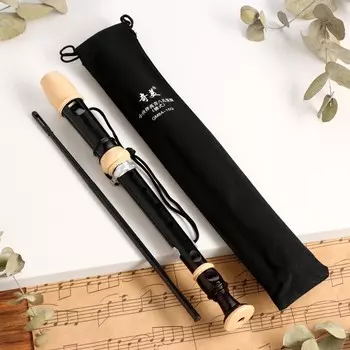 Блокфлейта music life, 8 отверстий, черный чехол, шомпол, 30 см