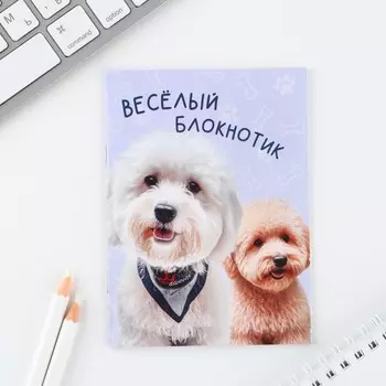 Блокнот а6, 12 листов, в клетку