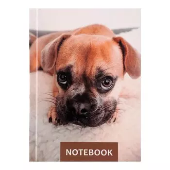 Блокнот а6, 64 листа в клетку