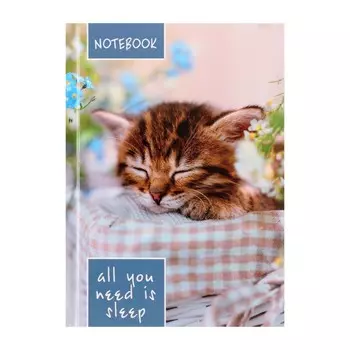 Блокнот а6, 64 листа в клетку