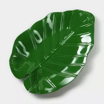 Блюдо для подачи