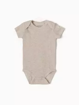 Боди