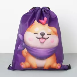 Сумка для обуви