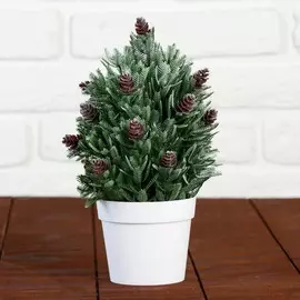 Бонсай в горшке