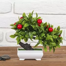 Бонсай в горшке