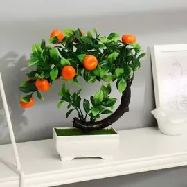 Бонсай в горшке