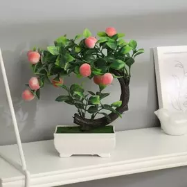 Бонсай в горшке