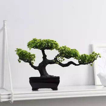 Бонсай в горшке