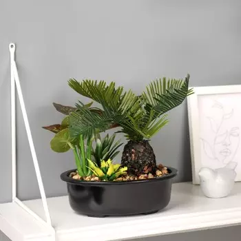 Бонсай в горшке