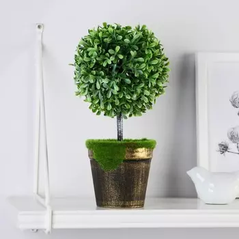 Бонсай в горшке