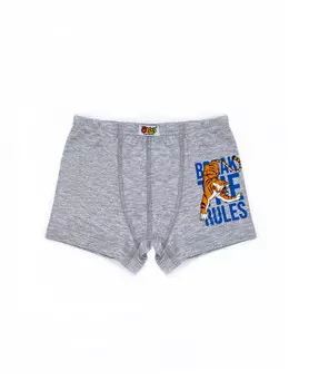 Боксеры для мальчика