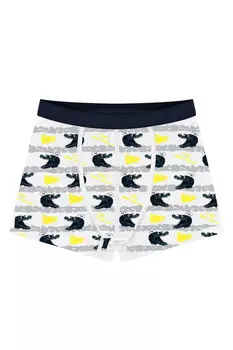 Боксеры для мальчика