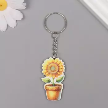 Брелок для ключей на кольце