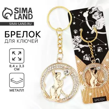 Брелок для ключей