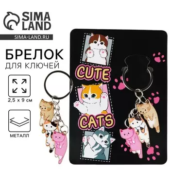 Брелок для ключей