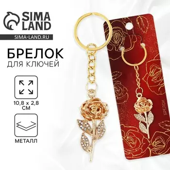 Брелок для ключей