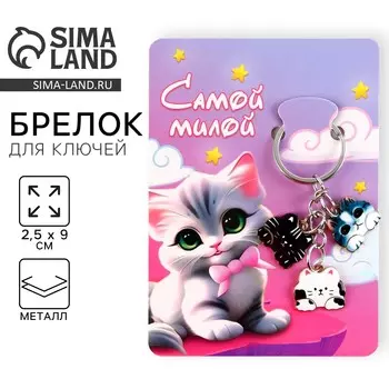 Брелок для ключей