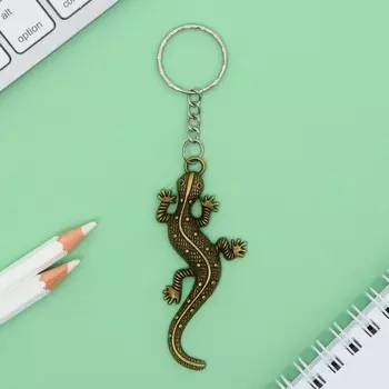 Брелок для ключей