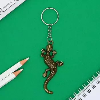 Брелок для ключей