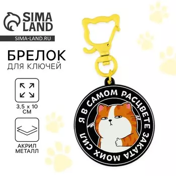 Брелок для ключей детский