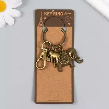 Брелок металл с карабином