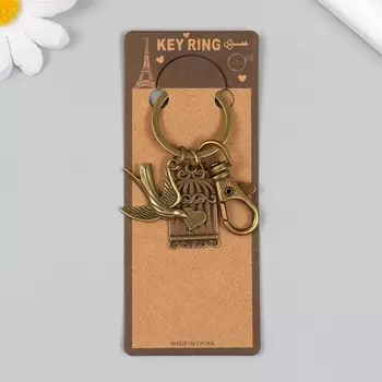 Брелок для ключей на карабине