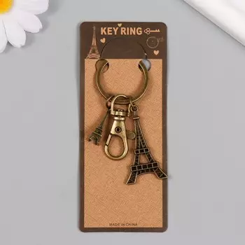 Брелок для ключей на карабине