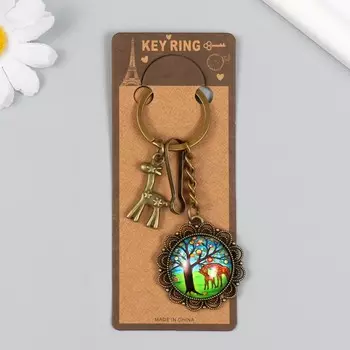 Брелок для ключей на карабине