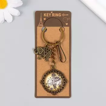 Брелок металл, стекло с карабином