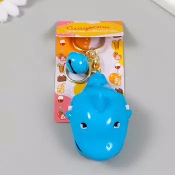 Брелок для ключей на карабине