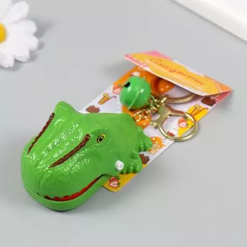 Брелок для ключей на карабине