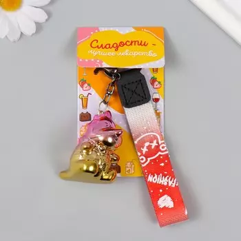 Брелок для ключей с карабином, ремешком