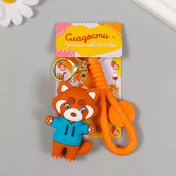 Брелок для ключей на кольце с карабином, ремешком