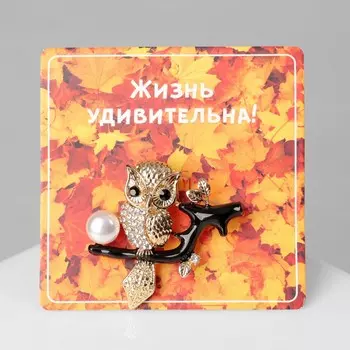 Брошь