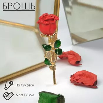 Брошь