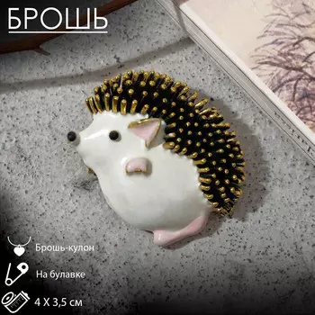 Брошь-кулон