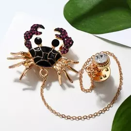 Брошь со значком на цепочке