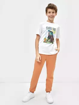 Брюки для мальчиков